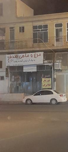 عکس مرغ و ماهی صدف