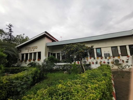 عکس هتل هد هد