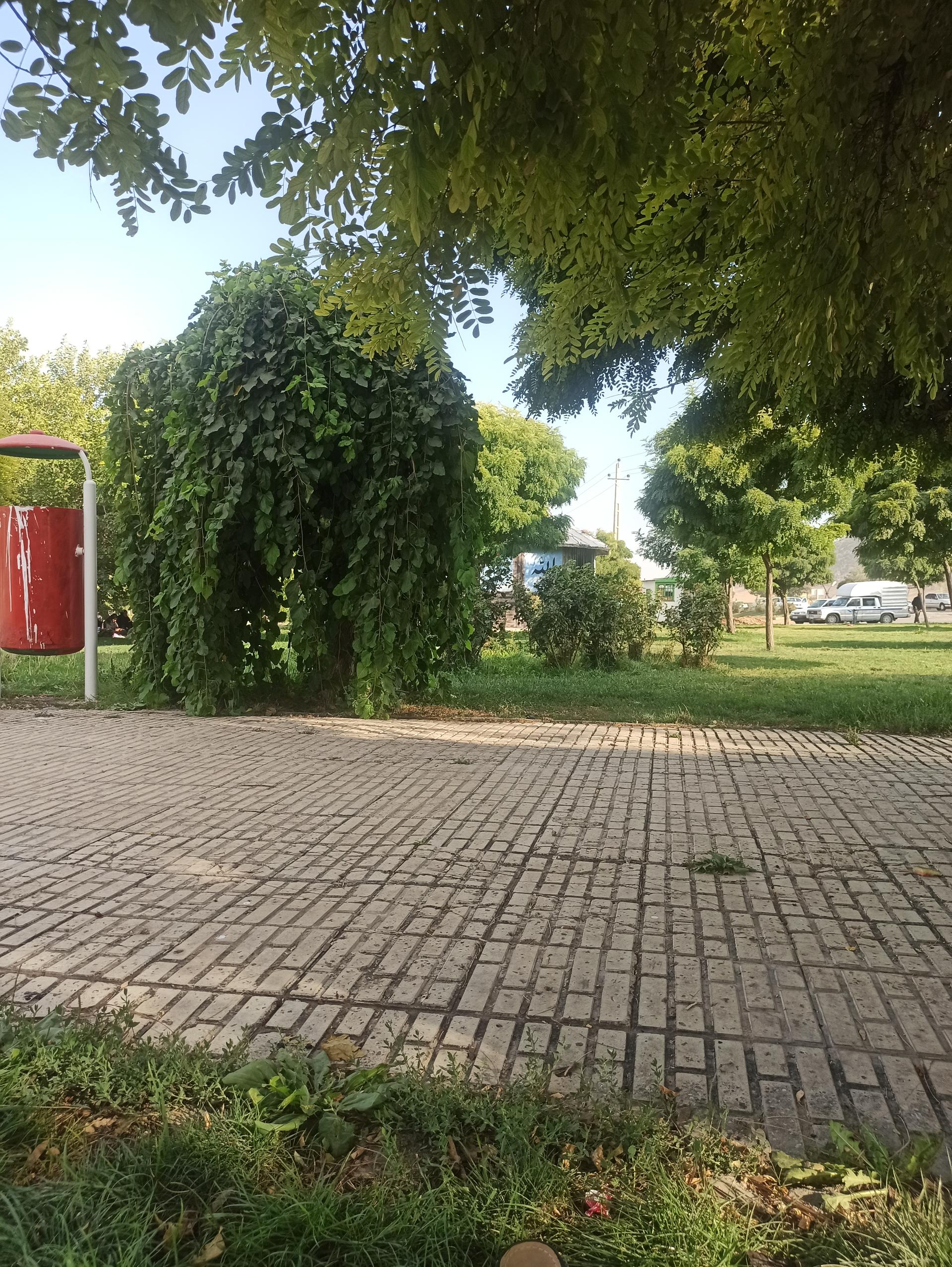 عکس پارک ترمینال