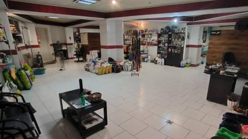 عکس دامپزشکی پرشین