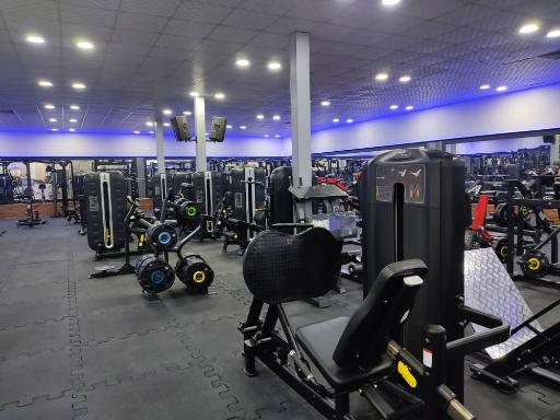 باشگاه ورزشی توس