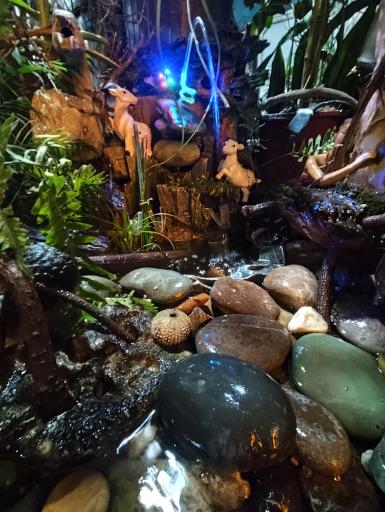 عکس گلخانه آرین