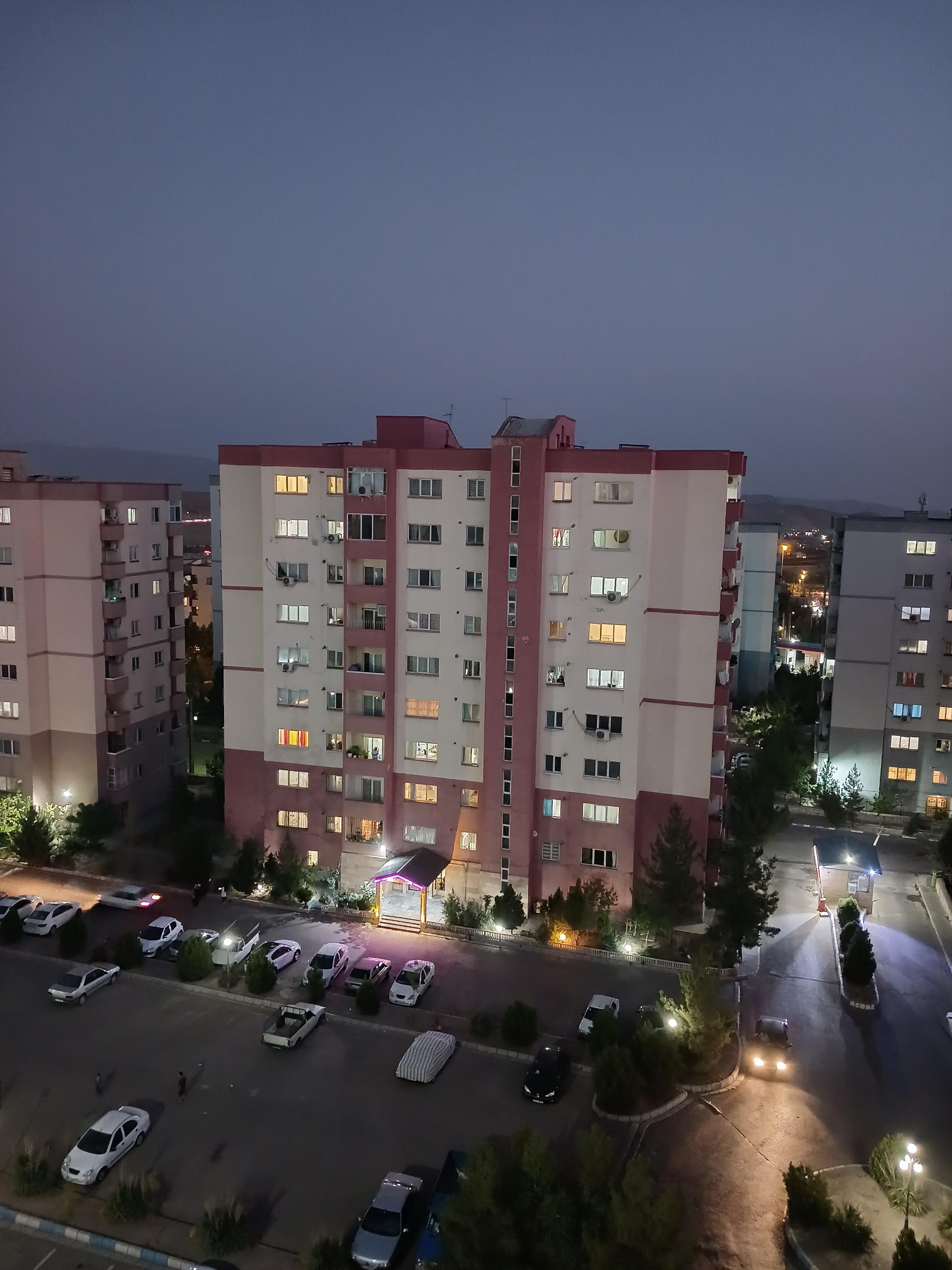 عکس زیتون ۳