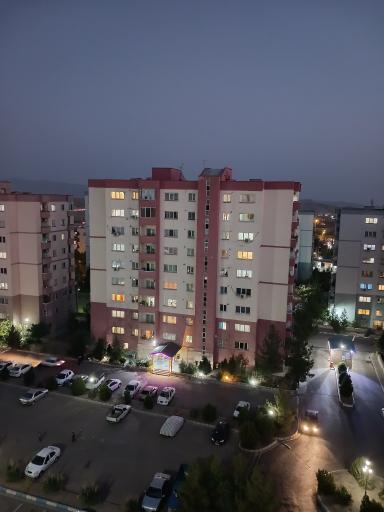 عکس زیتون ۳