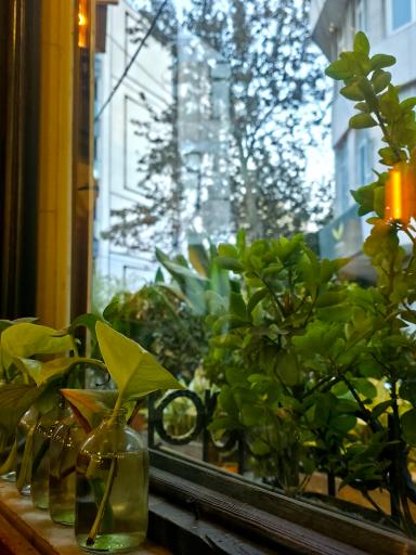 عکس کافه آرمن یا