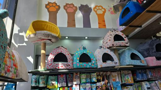 عکس پت شاپ لاکی پت 