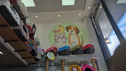 عکس پت شاپ لاکی پت 