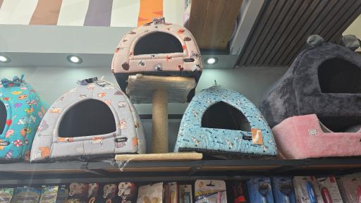 عکس پت شاپ لاکی پت 