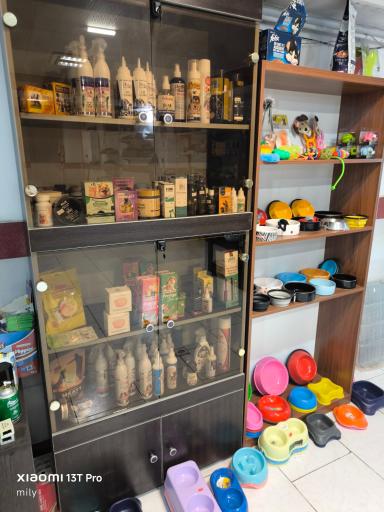 عکس دامپزشکی پرشین