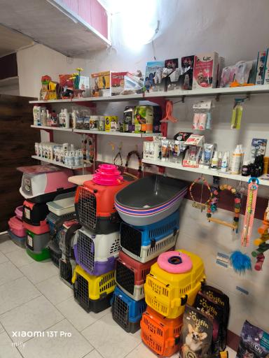 عکس دامپزشکی پرشین