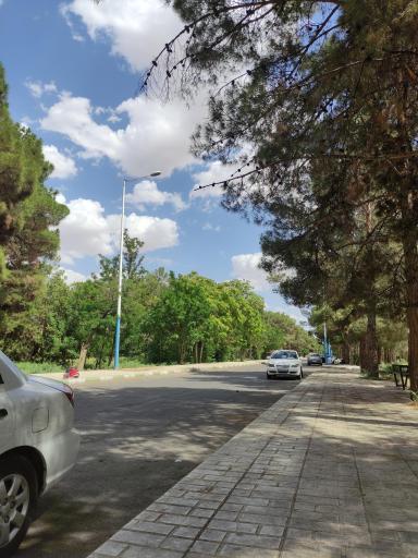 عکس پارک جنگلی سوکان