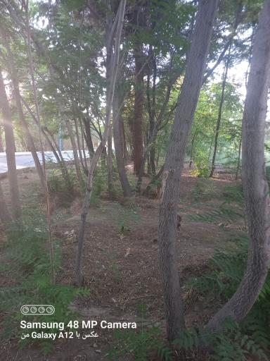 عکس پارک جنگلی سوکان