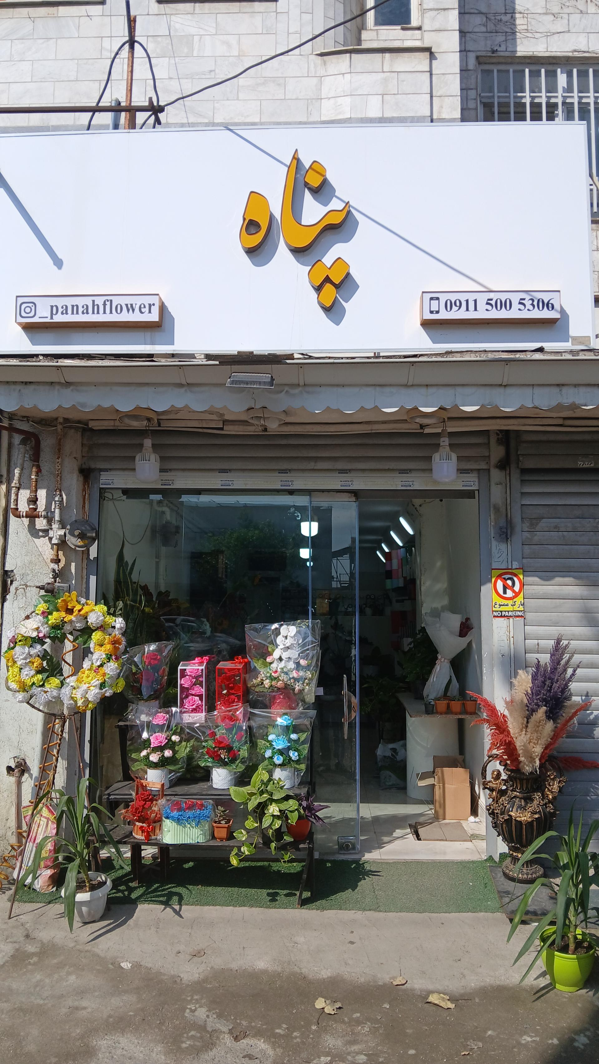 عکس گل فروشی پناه