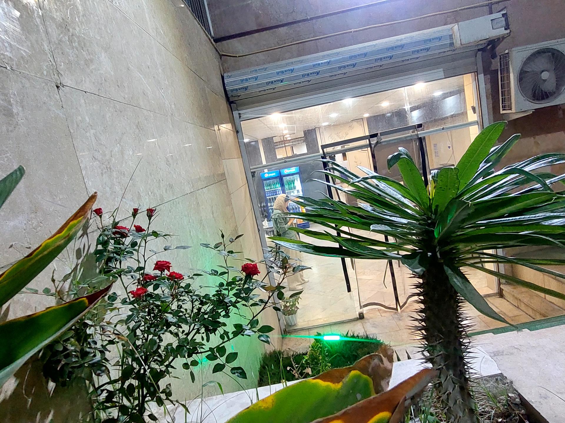 عکس کترینگ مادر جون