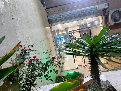 عکس کترینگ مادر جون