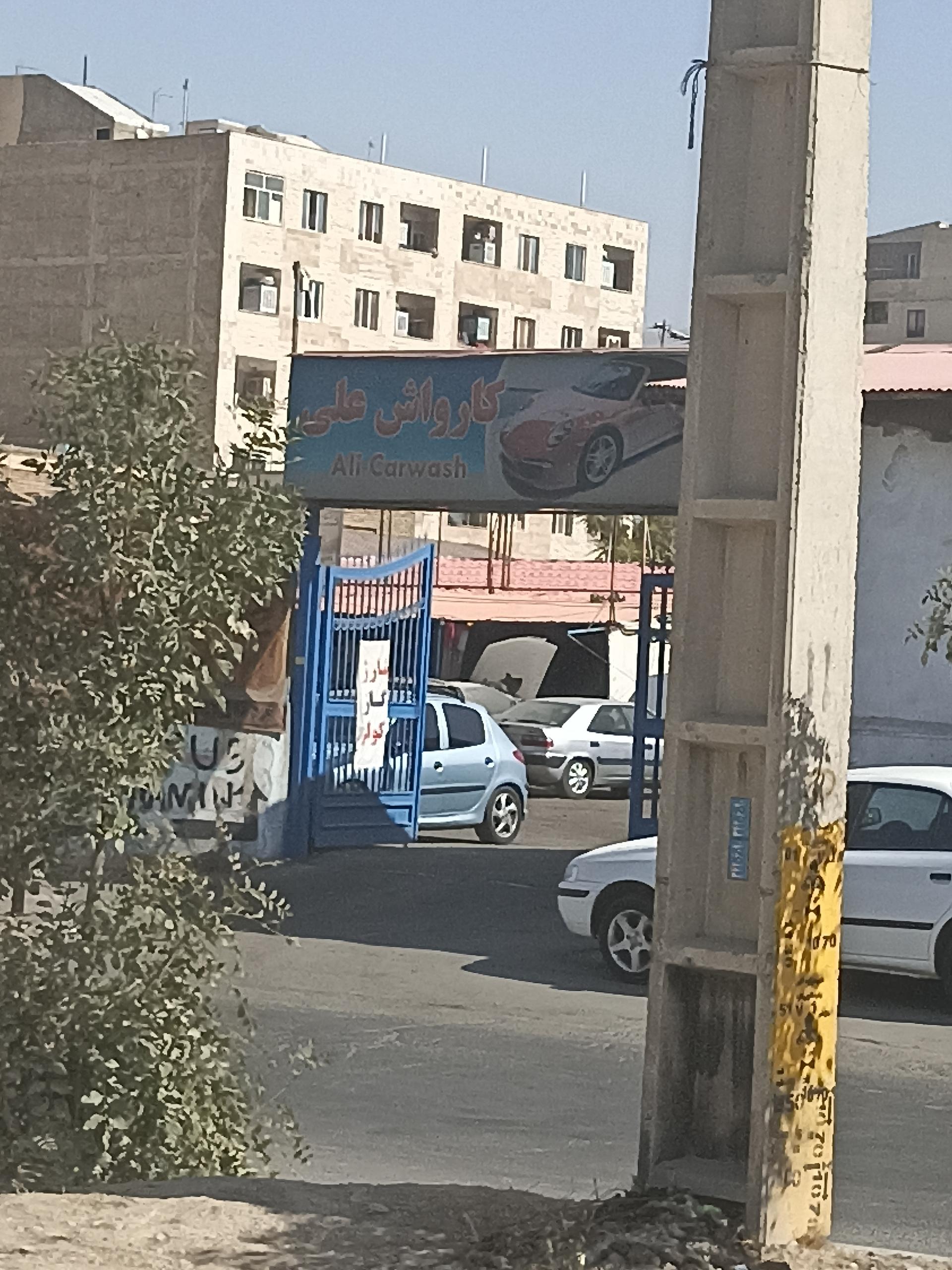 عکس کارواش علی