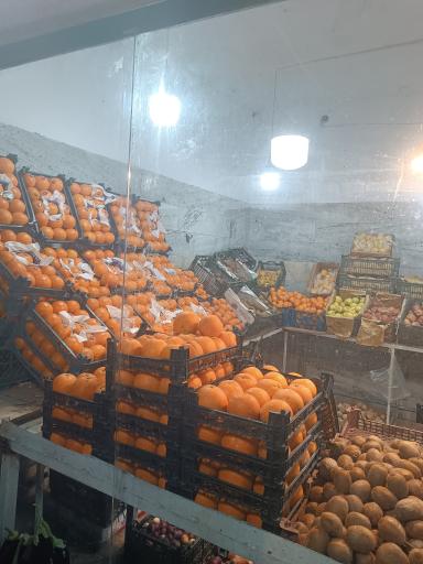 میوه فروشی شوقی