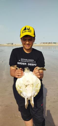 عکس ساحل شنا (میرزا کوچک خان)