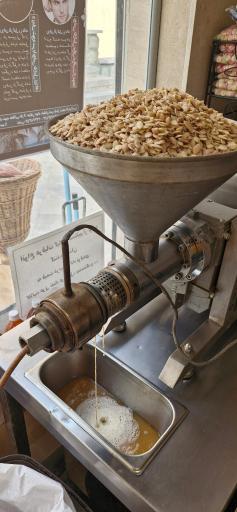 عکس روغن کشی زردانه