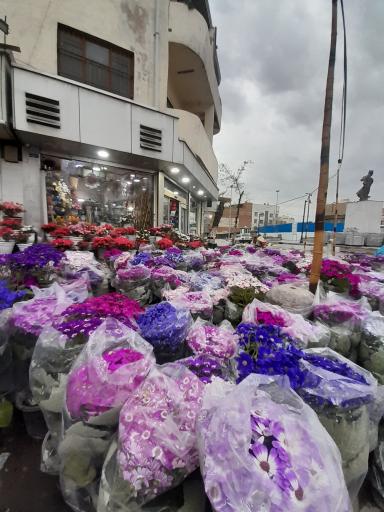 عکس گلستان تک