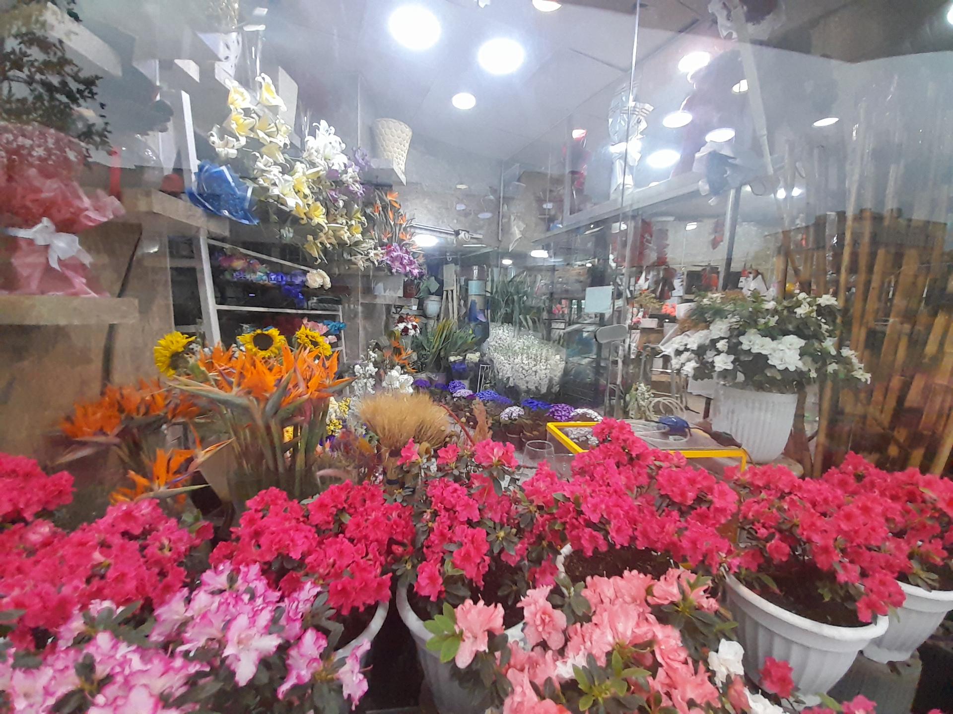 عکس گلستان تک