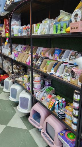 عکس پت شاپ کیتی کت