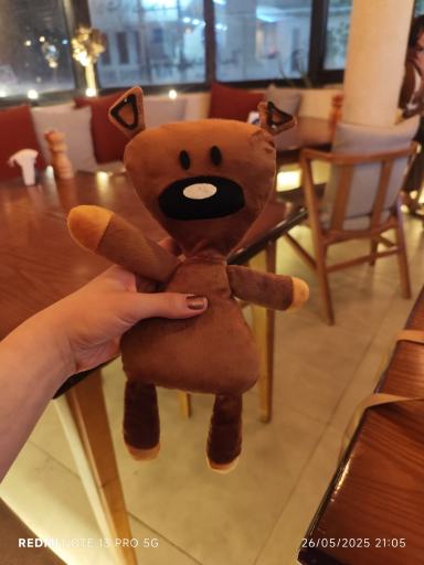 عکس کافه کاکتوس