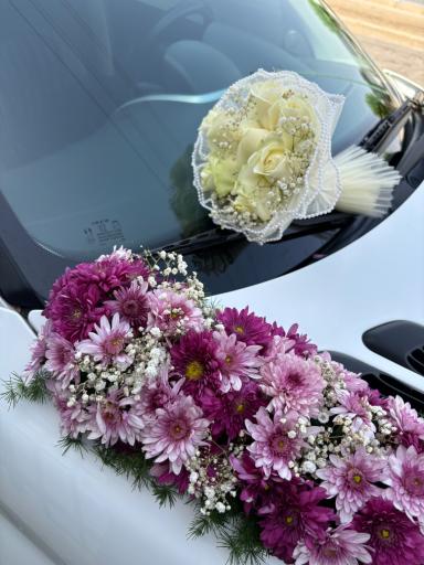 عکس گل‌سرای پیونی