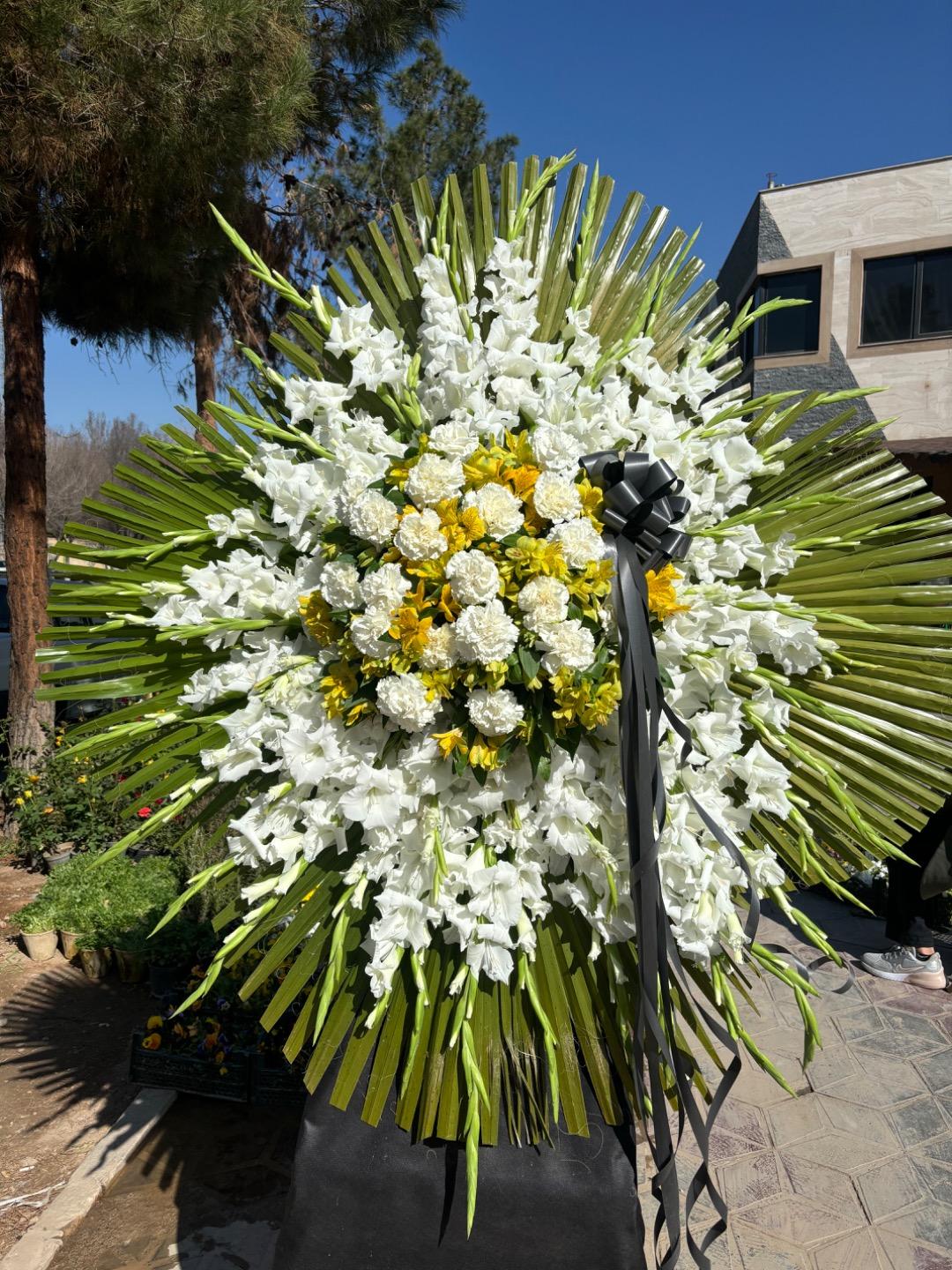 عکس گل‌سرای پیونی