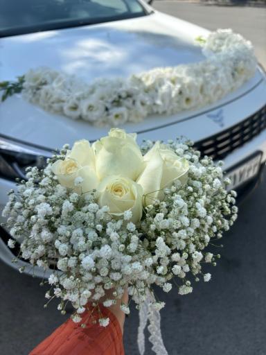 عکس گل‌سرای پیونی