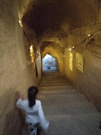 عکس پایاب قنات زارچ