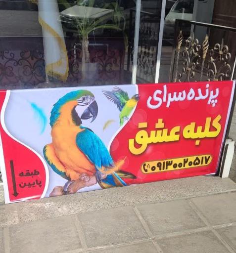 پرنده سرای  کلبه عشق 