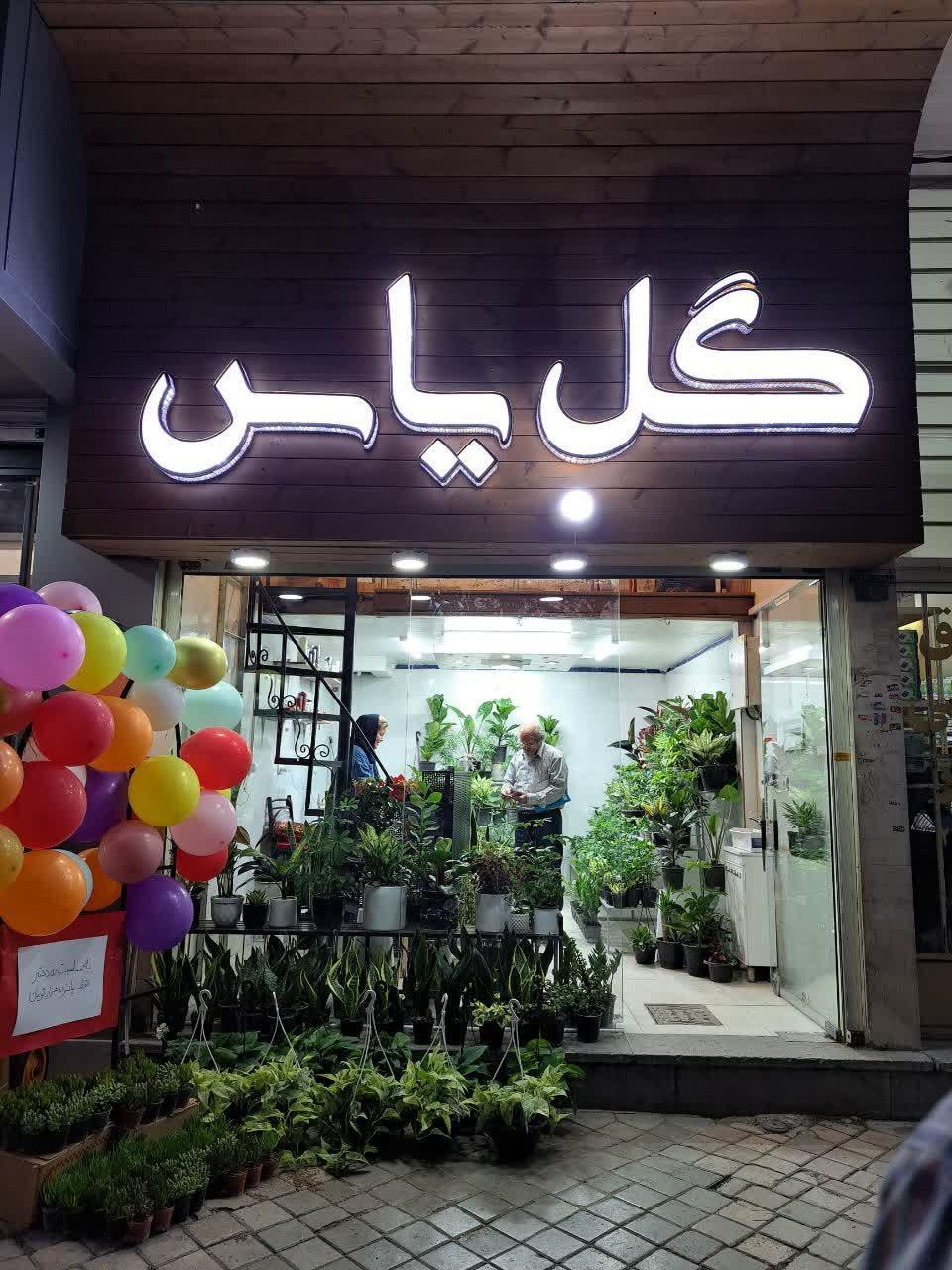 عکس گل یاس