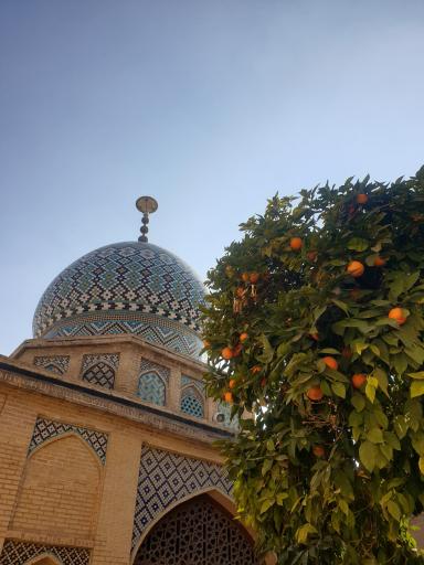 عکس امامزاده جلال الدین