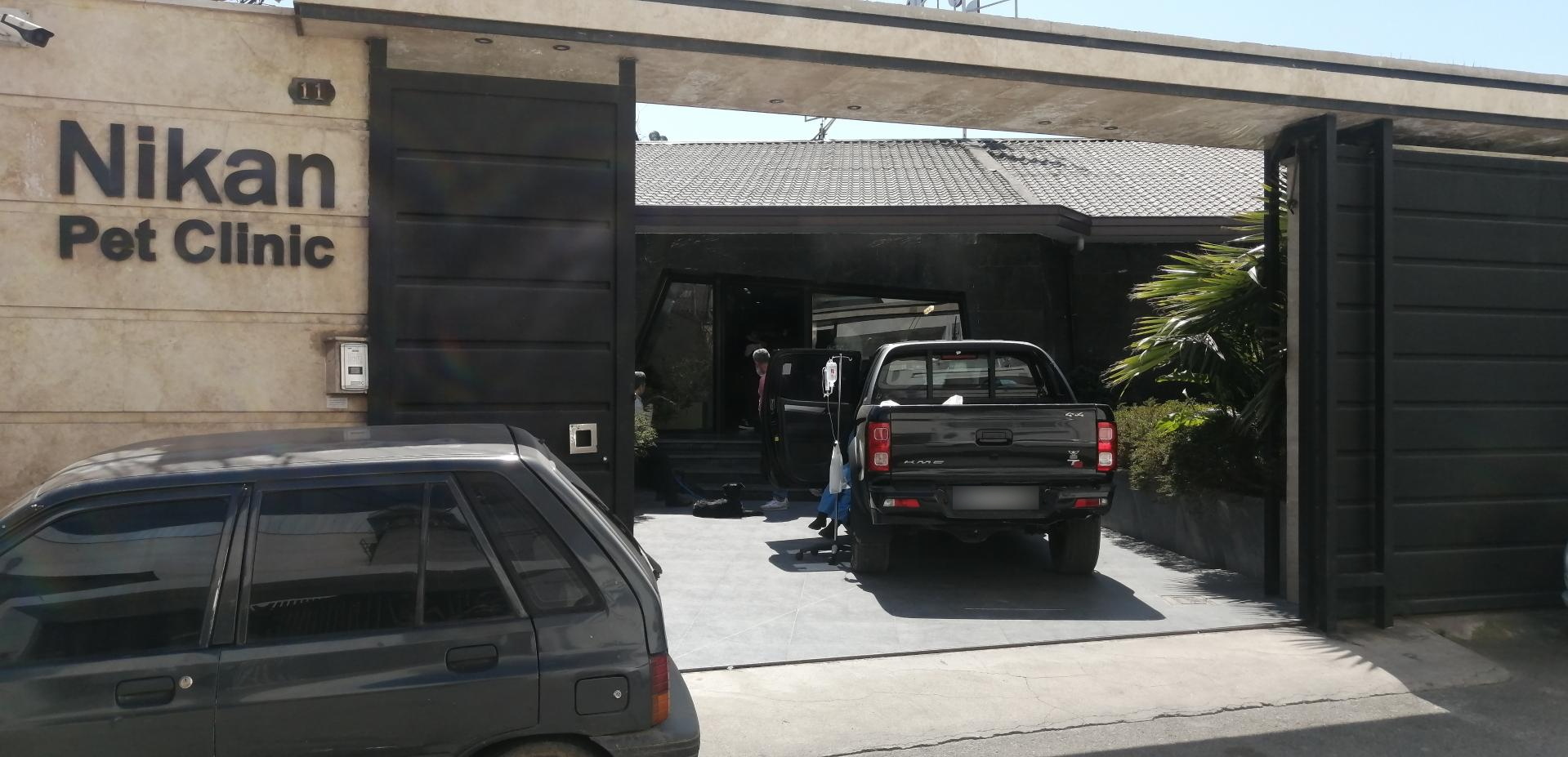 عکس دامپزشکی نیکان