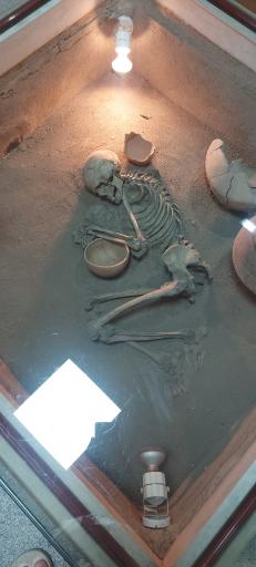 عکس تپه هگمتانه