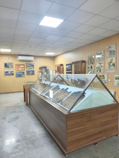 عکس تپه هگمتانه