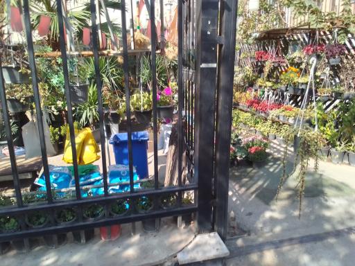 عکس کلینیک گل و گیاه و گلخانه امیر