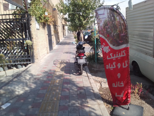 عکس کلینیک گل و گیاه و گلخانه امیر