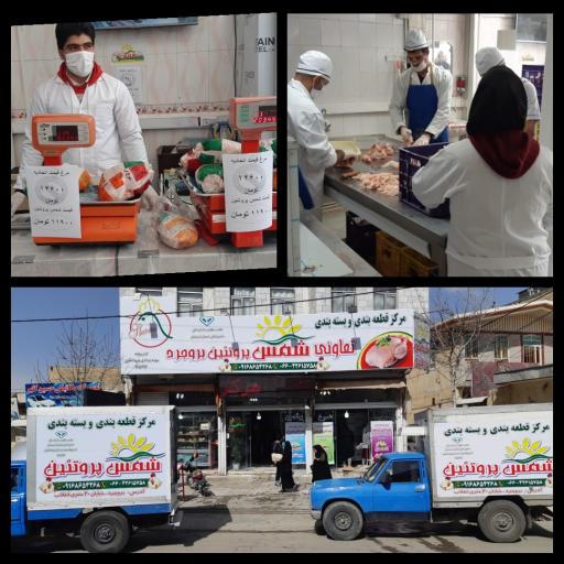 عکس شمس پروتئین