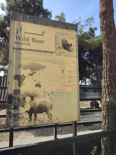 عکس قفس گراز