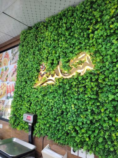 عکس هایپر پروتئین شامینو