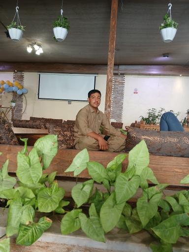 عکس مجتمع غذایی الماس