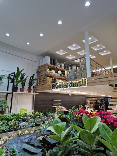 عکس گلستان علی