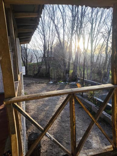 عکس ویلای و کلبه جنگلی فرهاد 