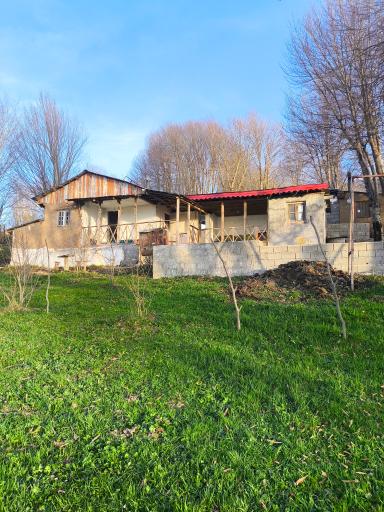 عکس ویلای و کلبه جنگلی فرهاد 