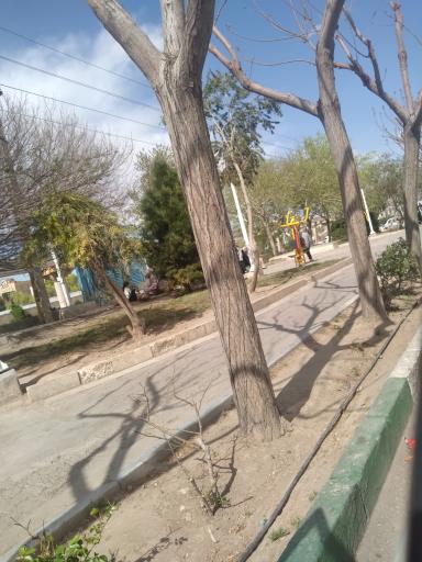 عکس پارک خیابان شهید منتظری