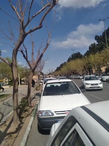 عکس پارک خیابان شهید منتظری