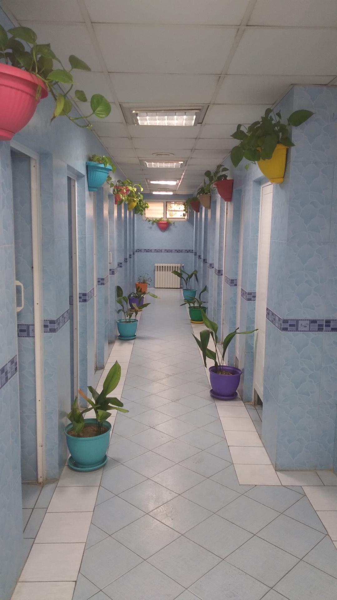 عکس سرویس بهداشتی 5