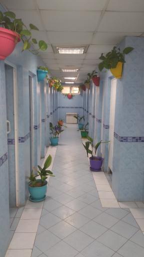 عکس سرویس بهداشتی 5